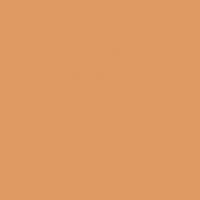 Color Two (RAL 0607050) - dlaždice 20x20 oranžová matná