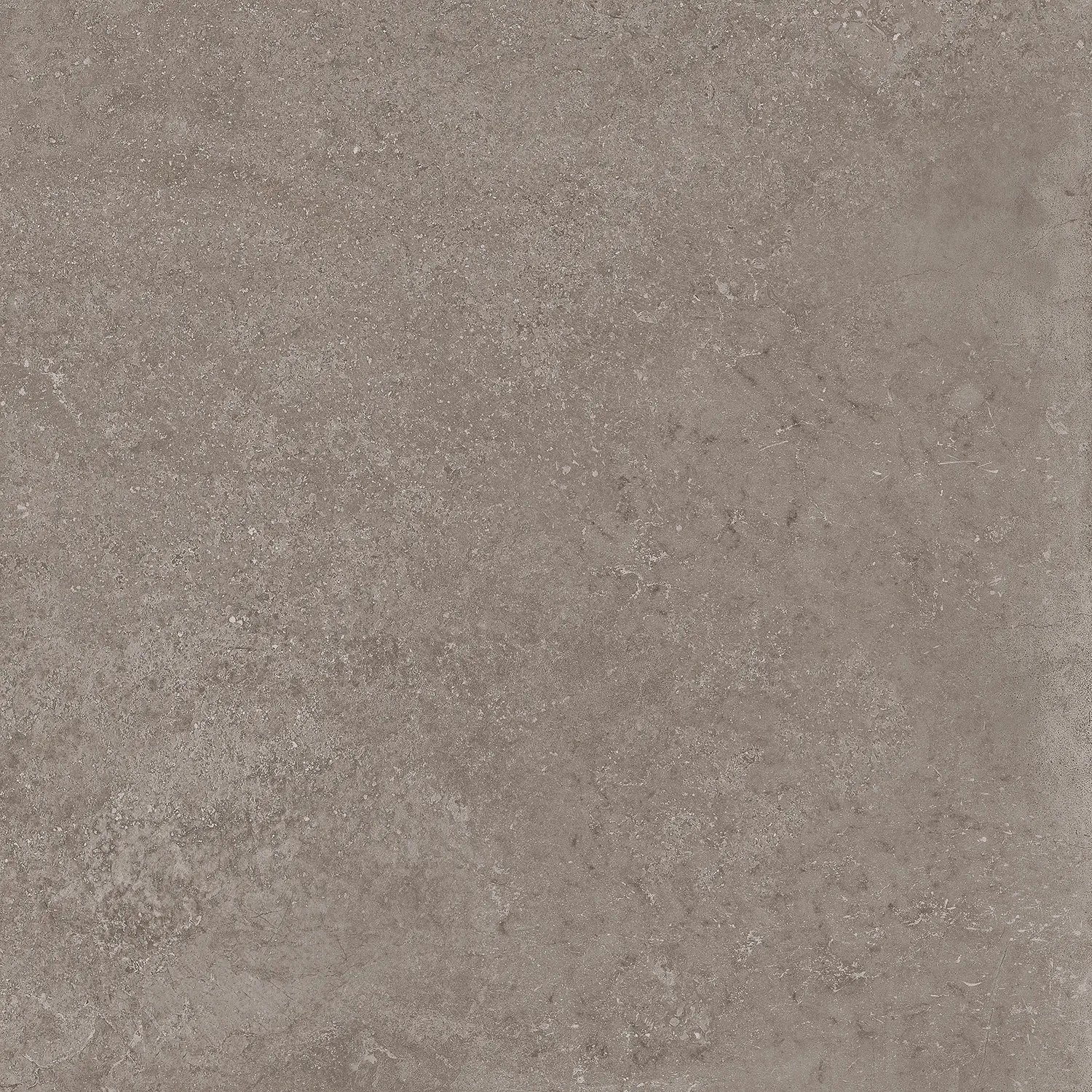 Stoncrete Grey - dlažba rektifikovaná 60x60 šedá