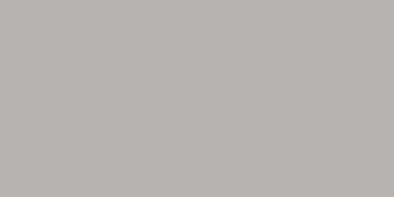 Color Two (RAL 0607005) - dlaždice 10x20 šedá matná GAAD8110