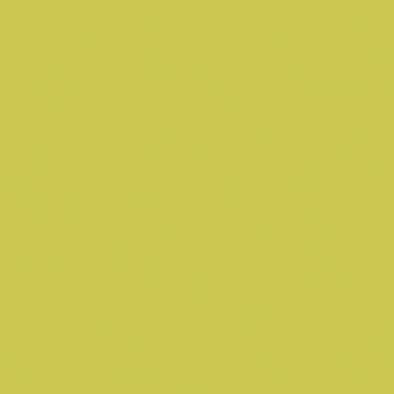 Color Two (RAL 0958070) - dlaždice 20x20 žlutozelená matná GAA1K464
